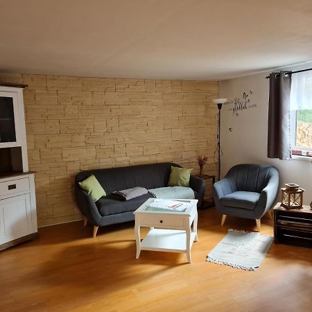 Haus Steindoebra Villa Klingenthal Eksteriør bilde