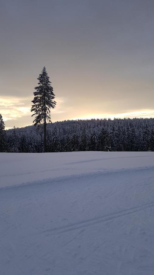 Haus Steindoebra Villa Klingenthal Eksteriør bilde