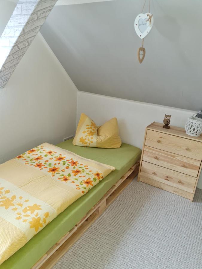 Haus Steindoebra Villa Klingenthal Eksteriør bilde