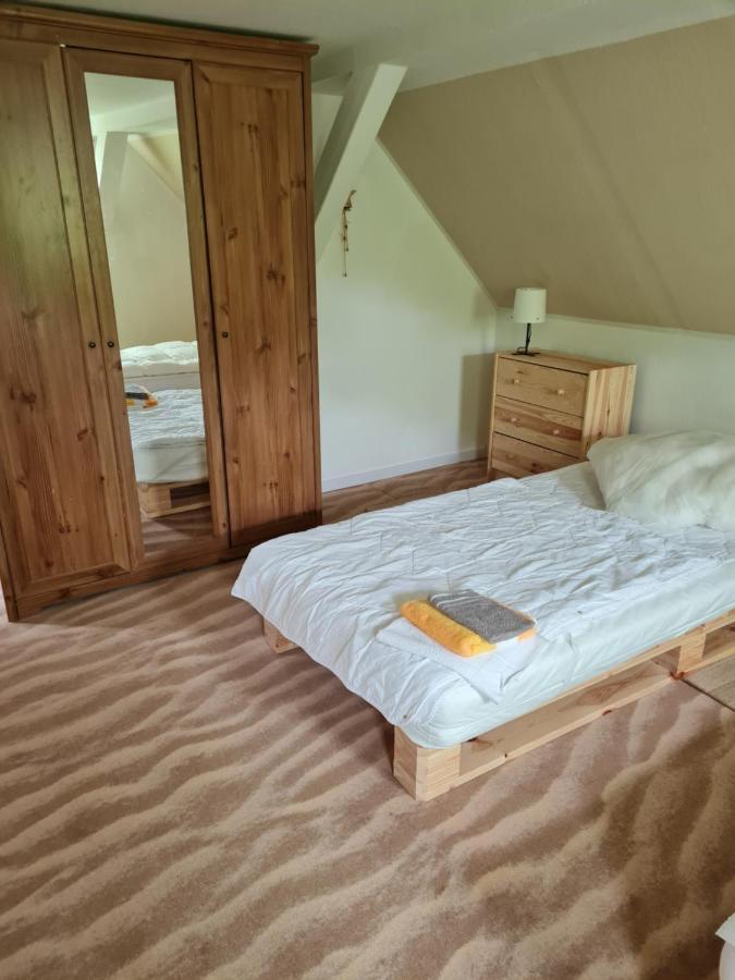 Haus Steindoebra Villa Klingenthal Eksteriør bilde