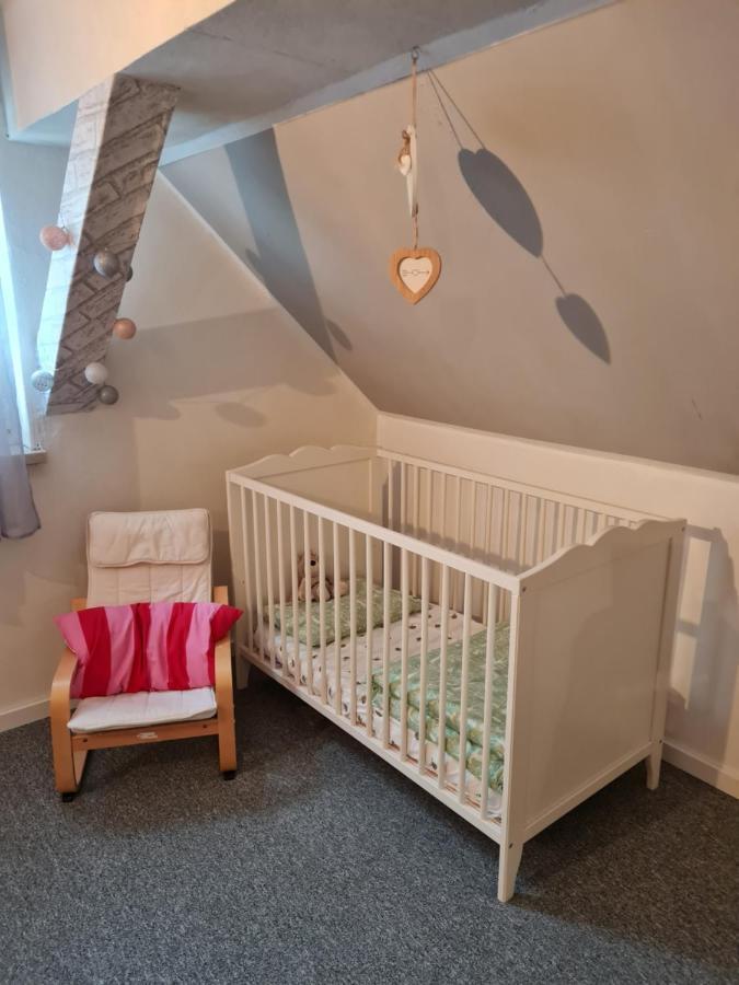Haus Steindoebra Villa Klingenthal Eksteriør bilde